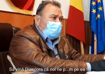 Râjnoveanu urăște Diaspora! ,,Să vină Diaspora că noi ne p...m pe ea!” – sloganul unor pesediști