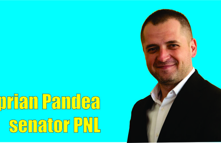Ciprian Pandea: voi fi alături Monica Silvia Ceauşescu și Lăduncă Ștefan doi viitori edili