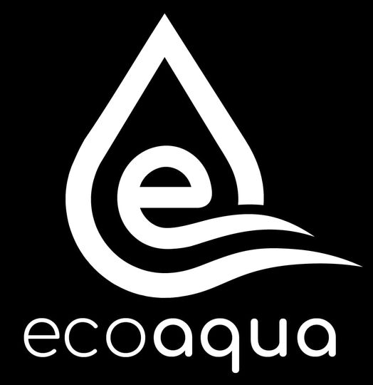 Ecoaqua: Felicitări tuturor elevilor care au reușit să obțină o Bursă de Merit pentru anul școlar 2024-2025!
