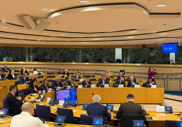 Marius Dulce-Călărașiul, parte activă din deciziile europene